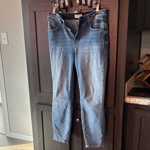 Maurices Dark Wash Skinny Jeans